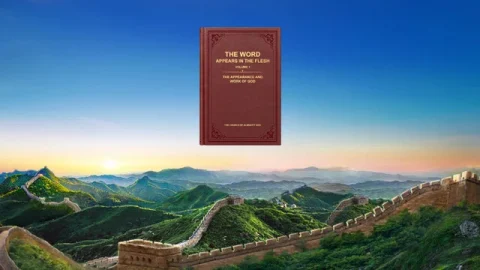 A Brief Introduction About the Background of the Appearance and Work of Christ of the Last Days in China